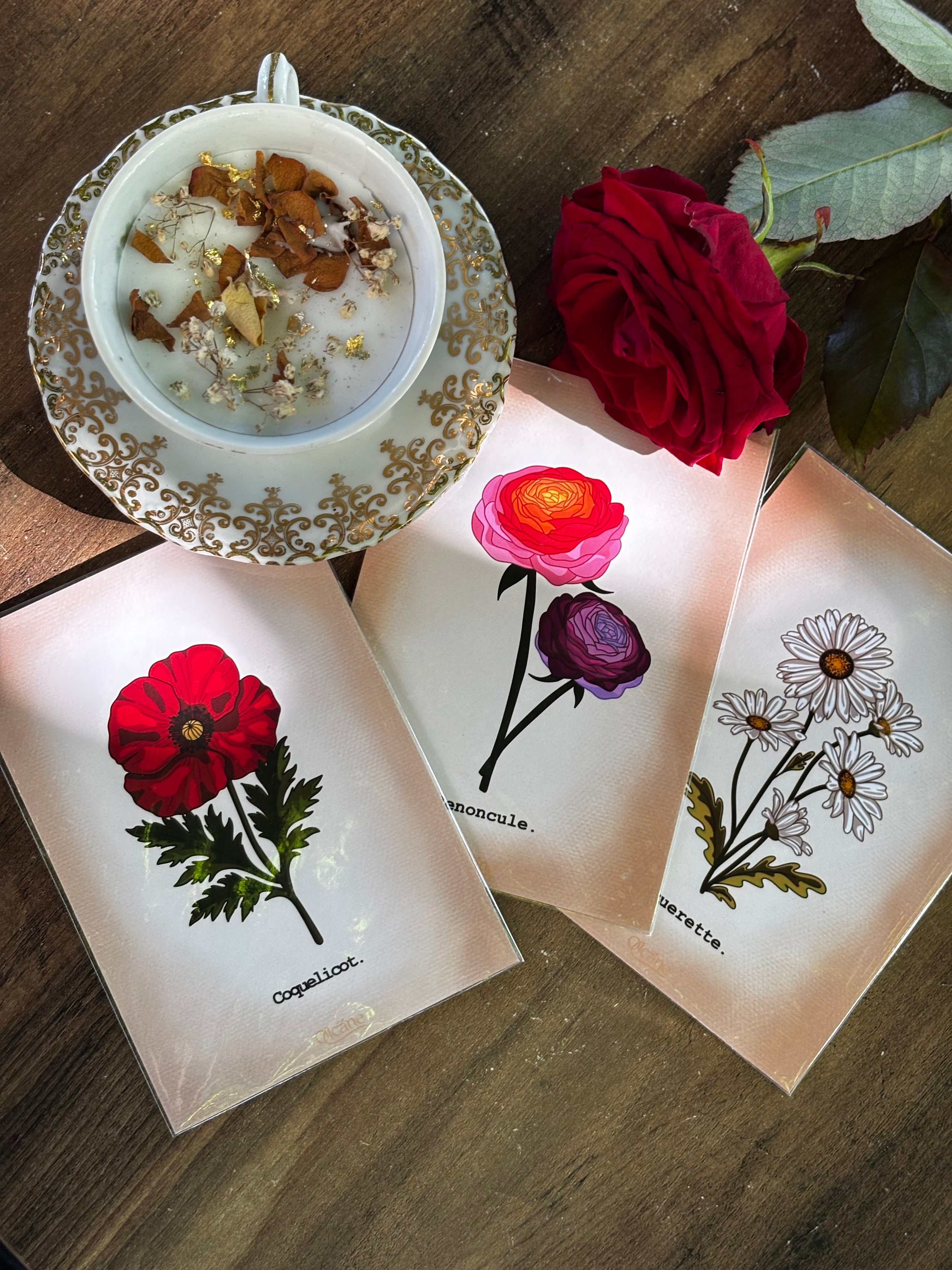 Affiches fleurs A6